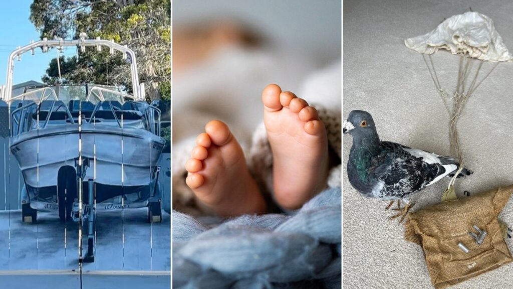 America’s top baby names see familiar trend, a man uses art to troll city officials and more hot reads