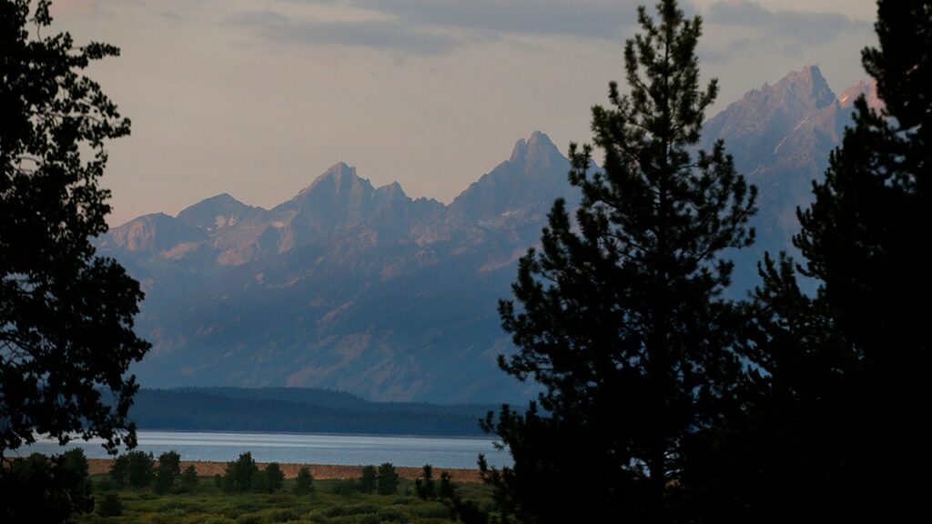 A self-inflicted hit of pepper spray drives off an attacking grizzly in Grand Teton National Park