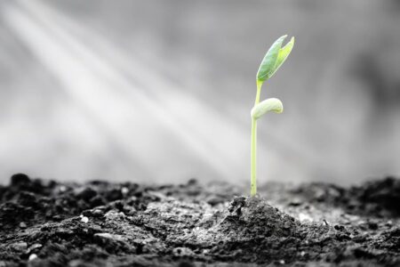 Buying Into An Emerging Franchise Brand: A Ticket To Success?