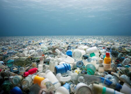 How Do You Make Plastic Renewable? Ask Biotech-er Avantium