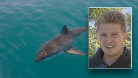 California surfer survives encounter with shark who displayed ‘aggressive’ behavior