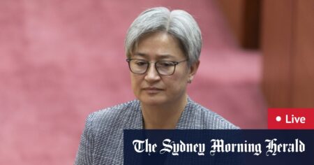 Wong demands Israel cease Rafah attacks; Albanese government to introduce EPA law to parliament