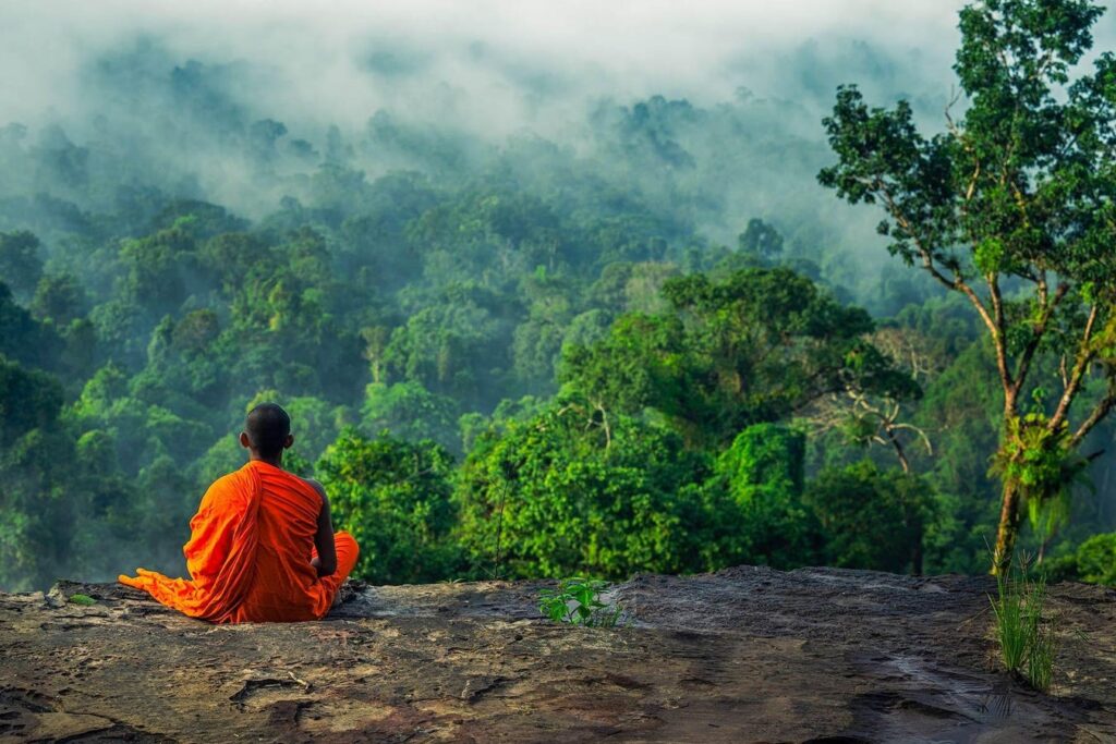 Indigenous Communities and Deforestation