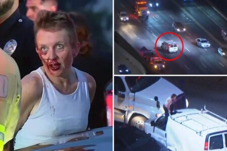 Wild photos show bloody-faced woman after she led dozens of cops on high-speed LA chase
