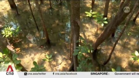 Developers get revised guidelines for biodiversity impact assessments