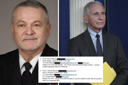 Fauci adviser who bragged about deleting ‘smoking gun’ emails to be grilled by COVID panel