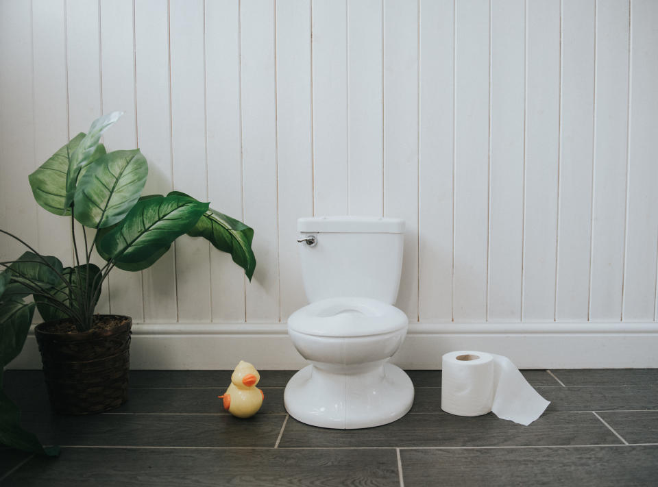 Small white toilet training seat for toddlers next to a potted plant, a rubber duck, and a roll of toilet paper on a bathroom floor