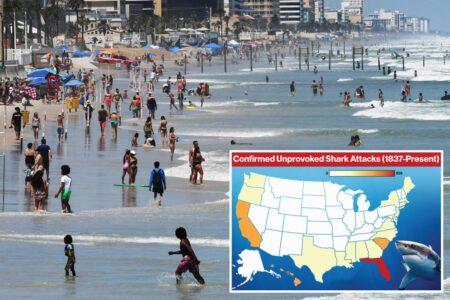 Shark attack capital of the world named — and it’s in this US state