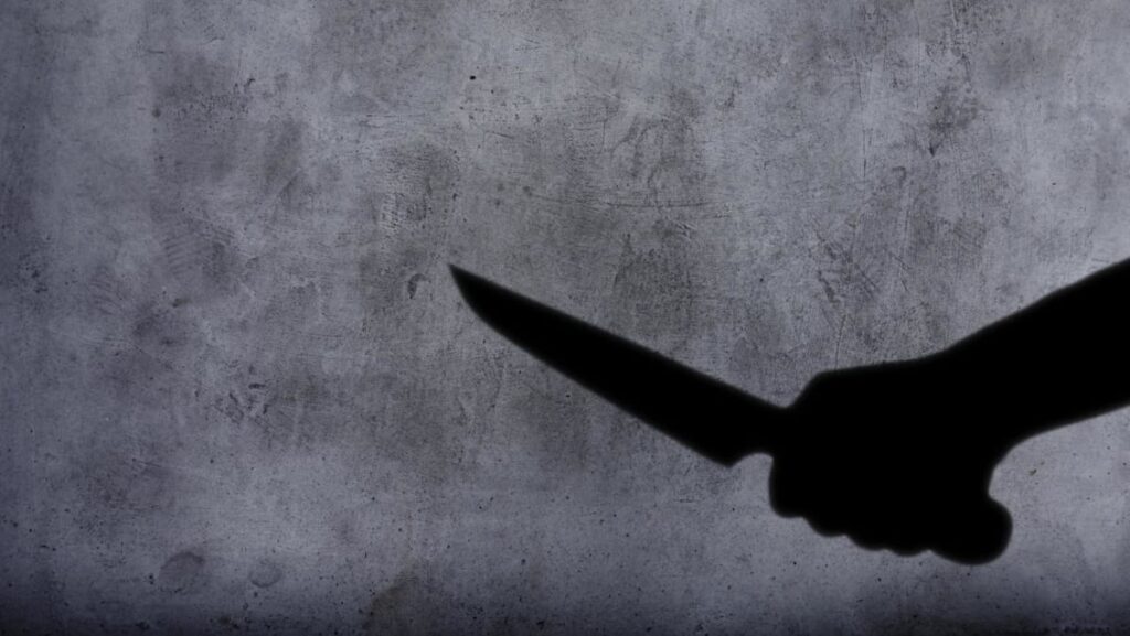 Eight killed in central China stabbing: Report