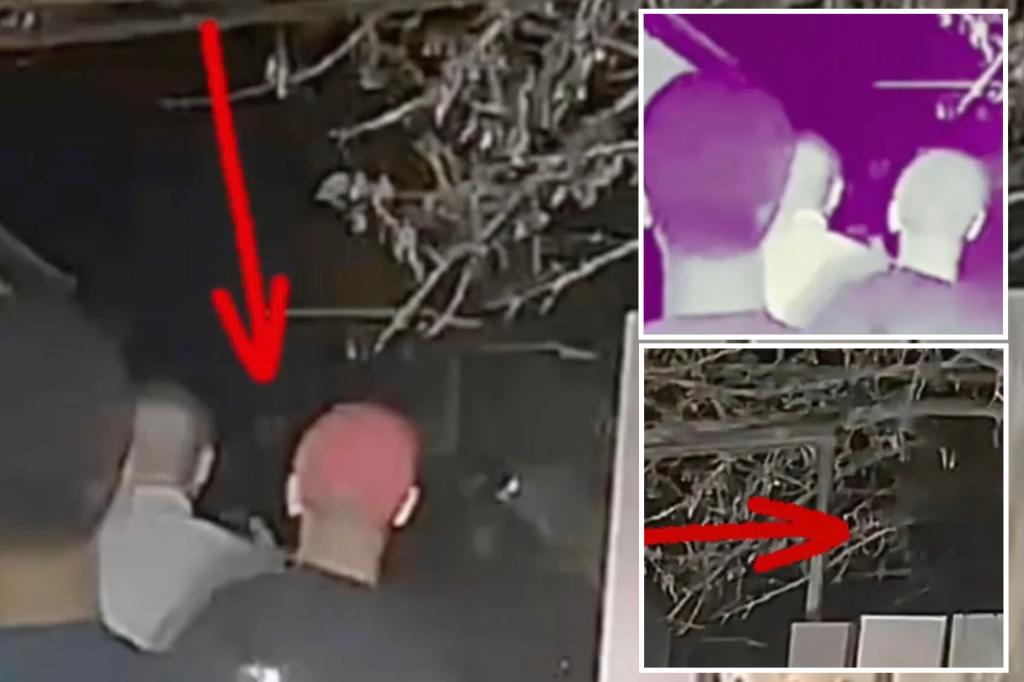 Las Vegas alien video shows at least 2 ‘beings’ using ‘cloaking’ device: ‘I’m opening it up to peer review’