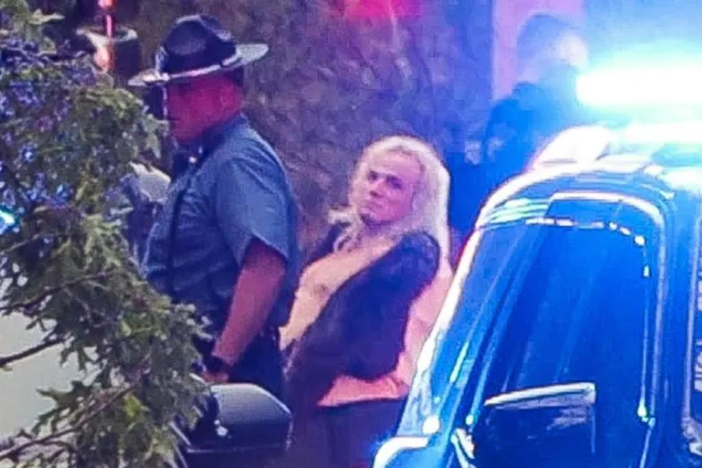 Unhinged suspect behind Massachusetts theater, McDonald’s stabbing spree ID’d