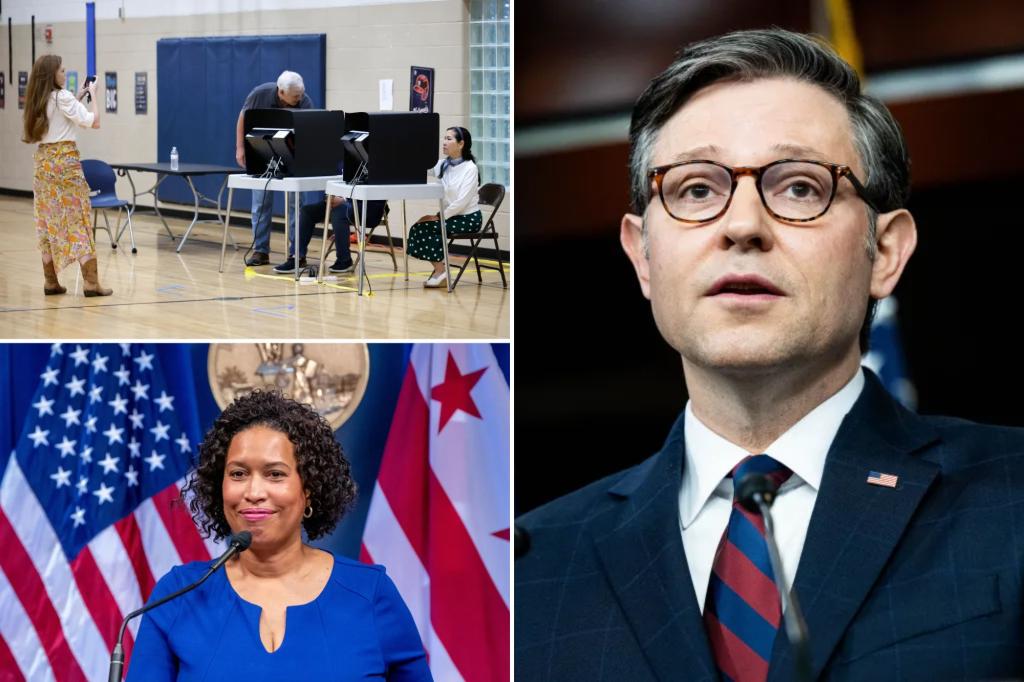 House advances bill to prevent noncitizens from voting in DC