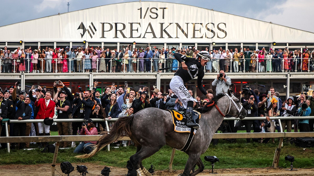 Seize The Grey winning preakness