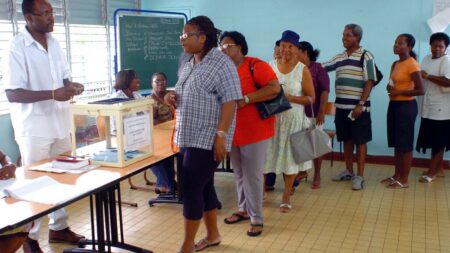 Only 8% of voters turn out for EU elections in this French department