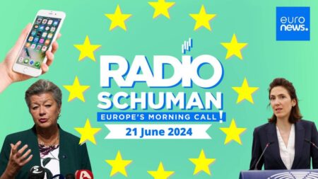 What does the future hold for the liberals in the European Parliament?