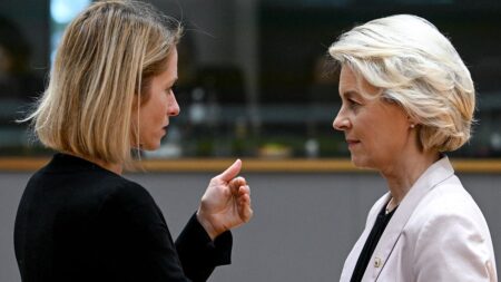 EU summit: Strategic agenda, top jobs and Zelenskyy on the menu