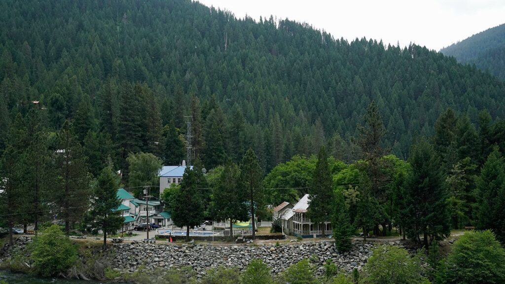 Woman’s 2023 death was first fatal black bear attack on a human in California history, officials say