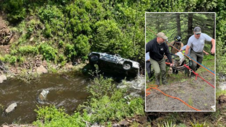 Loyal dog saves camper’s life after running miles for help: ‘No words’