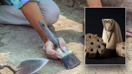 Thousand-year-old discovery comes as ‘complete surprise’ to experts