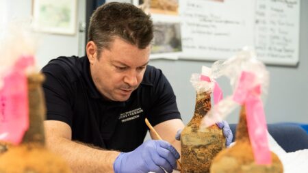 ‘Blockbuster discovery’ unearthed at George Washington’s Mount Vernon estate