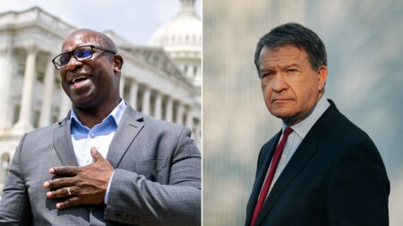 Israel on the ballot in Westchester as activists slam ‘Squad’ incumbent amid reported photo flap