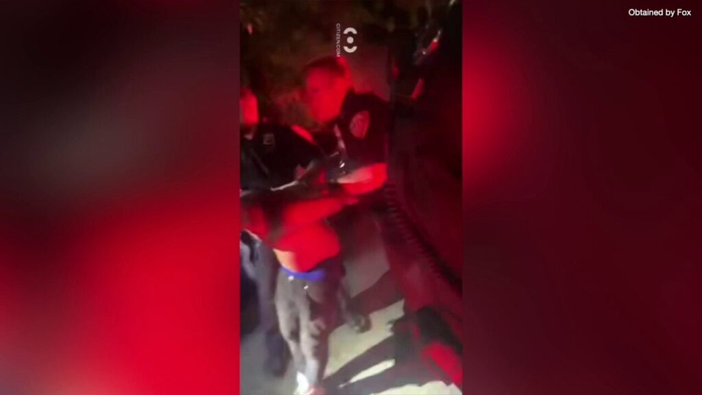 Video shows NYPD drag illegal immigrant rape suspect from hiding under car after citizen’s arrest