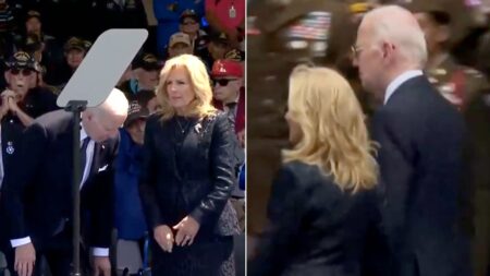 White House ‘cheap fakes’ response to Biden videos part of push for social media censorship: expert