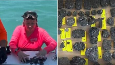 Florida treasure hunters amazed by discovery in 300-year-old shipwrecks: ‘You don’t expect that’