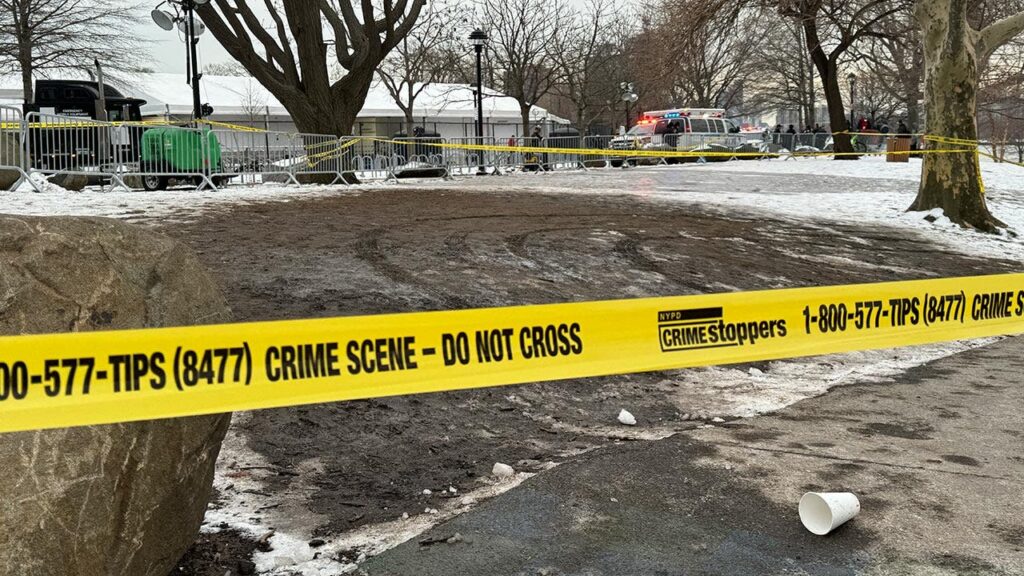 Man, 25, stabbed in torso after attack by 2 at Randall’s Island migrant shelter: police