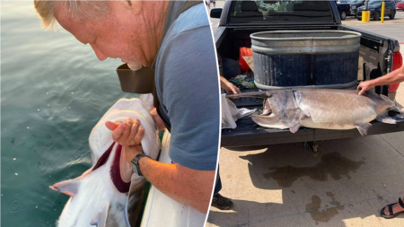 Angler breaks state record with 127-pound catch: ‘We got really lucky’