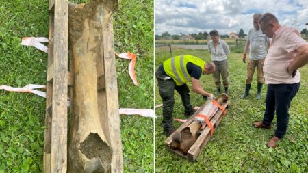 Fisherman discovers mammoth bone, ‘thick as a human leg,’ dating back to the Ice Age
