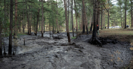 Floods Hit New Mexico Region Ravaged by Deadly Wildfires