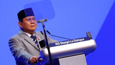 Prabowo says Indonesia willing to send peacekeeping troops to Gaza