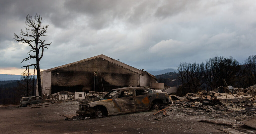 F.B.I. Offers Reward for Information About New Mexico Wildfires