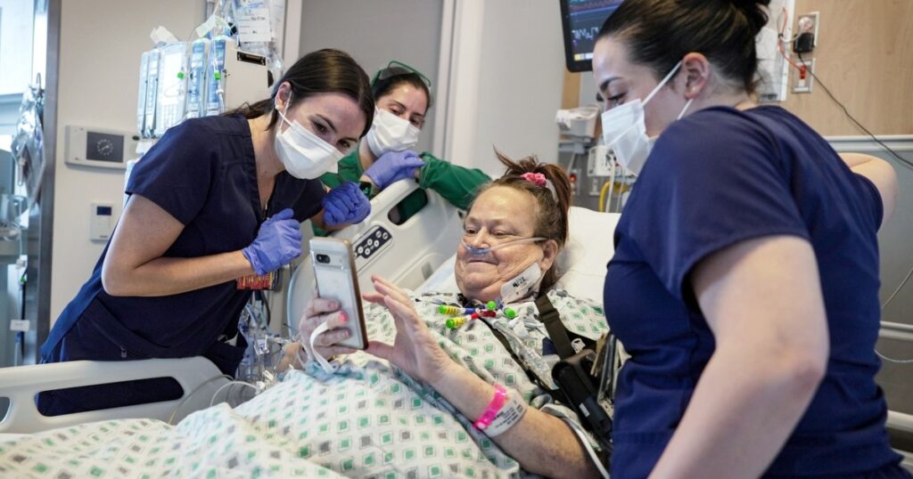 Woman Is Back On Dialysis After Pig Kidney Transplant Issues