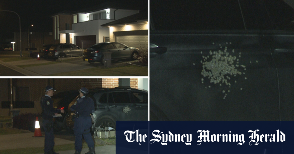 Police hunt intruders after man shot in leg at Sydney home