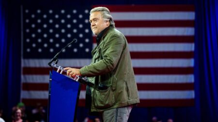 Steve Bannon