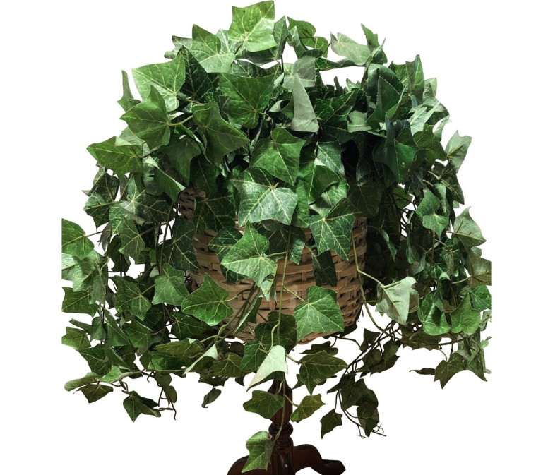 Close-up of fake plant