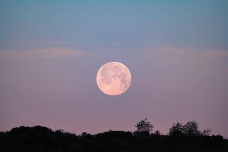 Full Strawberry Moon in Capricorn: Revisit your past, nurture your future