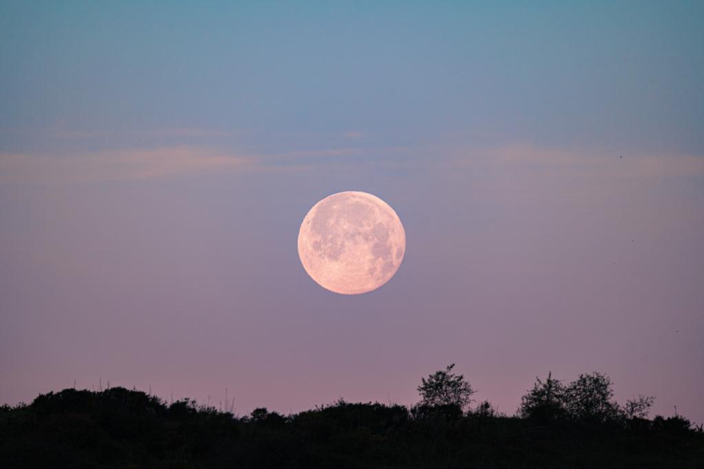 Full Strawberry Moon in Capricorn: Revisit your past, nurture your future
