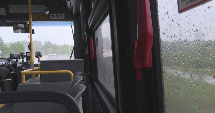 Sunday bus service takes to the streets in Fredericton