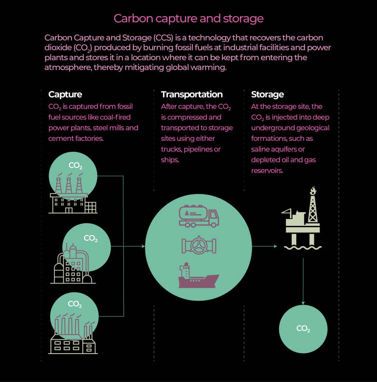 INFO CCS (2)-1718881882