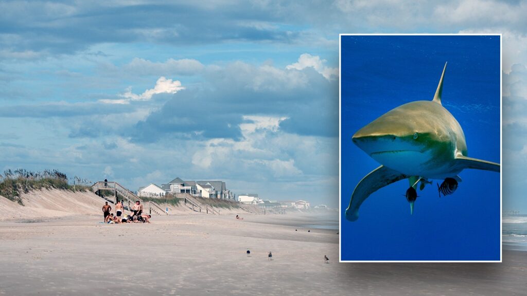 Shark bites teenager’s leg in attack at North Carolina beach