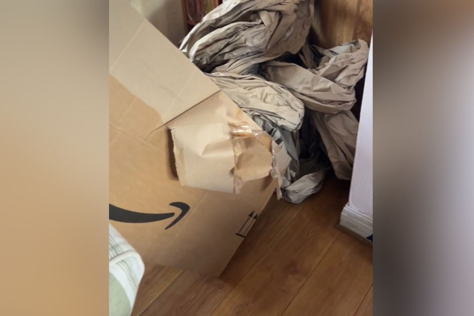 Woman Can’t Cope With How Amazon Delivers Parcel—’Lost the Plot Completely’