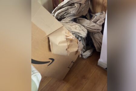 Woman Can’t Cope With How Amazon Delivers Parcel—’Lost the Plot Completely’