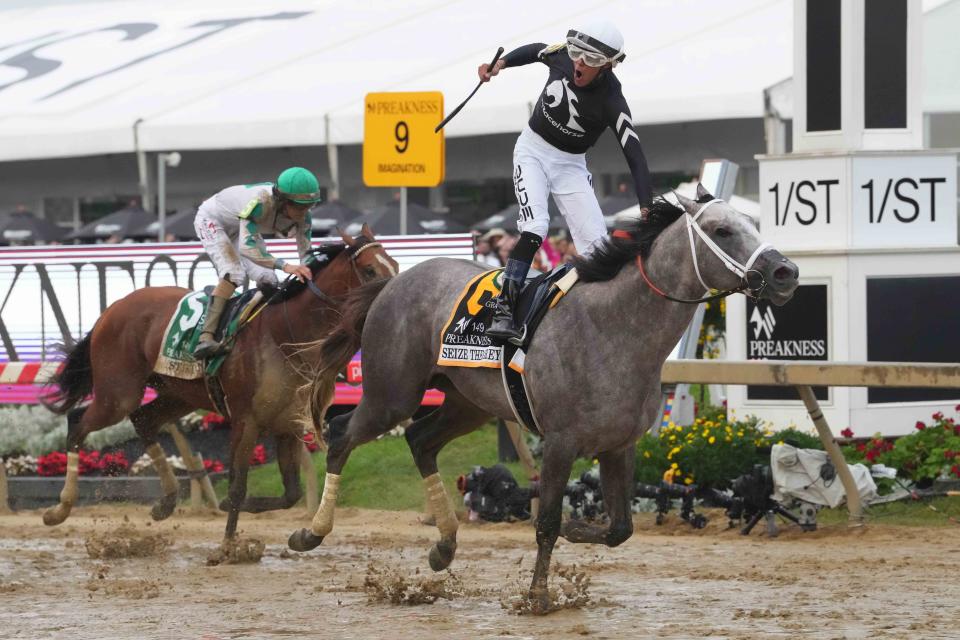 2024 Belmont Stakes field: Odds, post positions, and how to watch the horse race