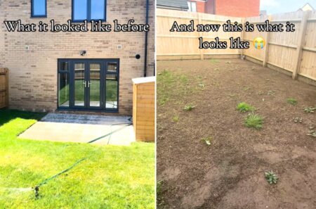Couple Devastated Over What Destroys Perfect Lawn in New Home—’Send Help’