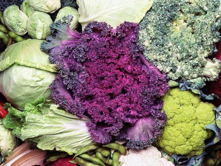 Moderate intake of choline may help reduce risk