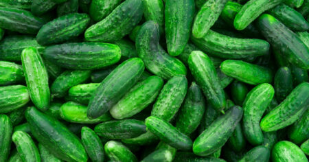Cucumbers Shipped to 14 States Recalled Over Salmonella Fears