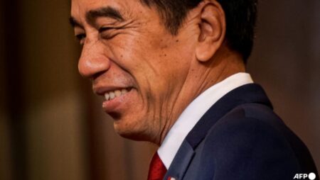 Indonesia’s Jokowi to relocate to new capital Nusantara ahead of Independence Day; reassures public of project’s progress